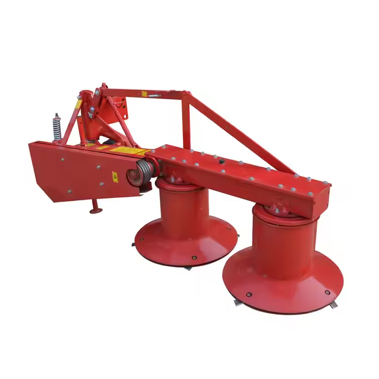 Haius tympanum Mowers