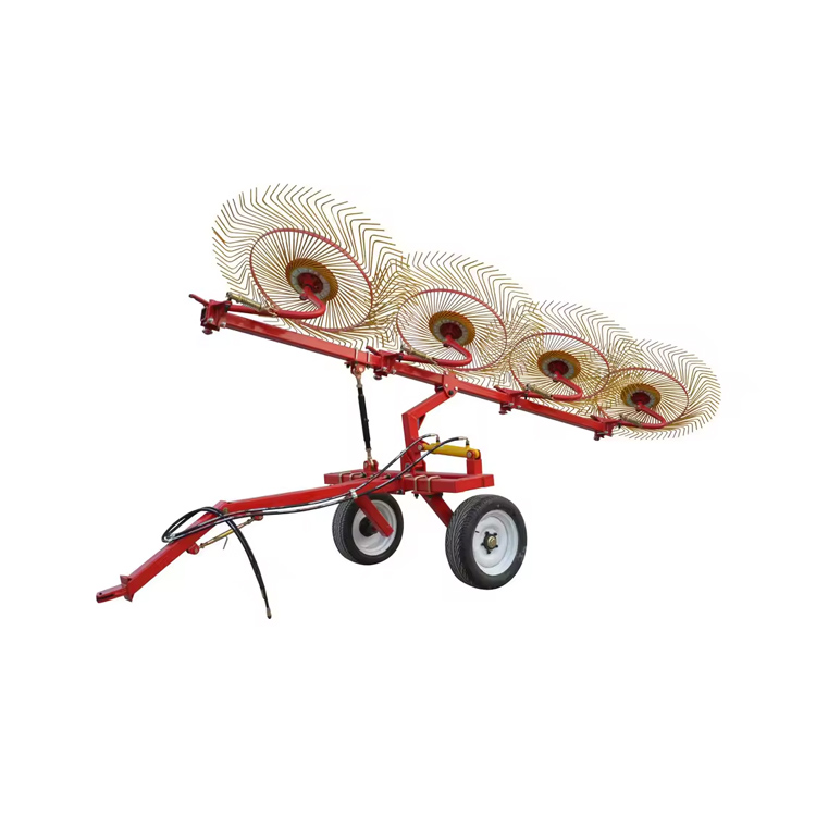 Gazophy rota rastro